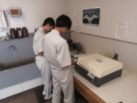 IMG_20250826_140252_copy_300x225